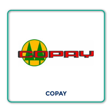 Copay