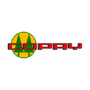 Copay